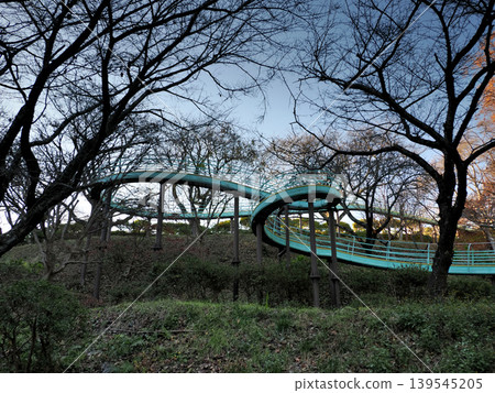 神奈川縣中郡二宮町東山公園滾輪滑道 神奈川縣中郡二宮町東山公園滾輪滑道 139545205