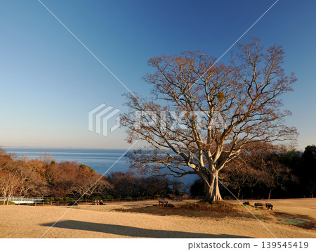 Azumayama Park, Ninomiya Town, Nakagun, Kanagawa Prefecture Azumayama Park, Ninomiya Town, Nakagun, Kanagawa Prefecture 139545419