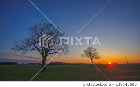 Landscape of green wavy field with a tree 139545690