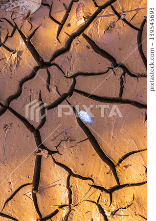 Cracked Earth. An arid landscape with cracked, dry earth patterns in a warm orange hue 139545693