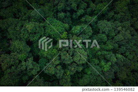 Aerial top view of green trees in forest. Drone view of dense green tree captures CO2. Green tree nature background for carbon neutrality and net zero emissions concept. Sustainable green environment. Aerial top view of green trees in forest. Drone view of dense green tree captures CO2. Green tree nature background for carbon neutrality and net zero emissions concept. Sustainable green environment. 139546082