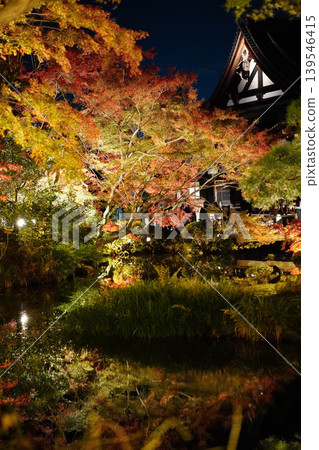Autumn leaves in the garden of Konkai-Komyoji Temple, illuminated at night. Autumn leaves in the garden of Konkai-Komyoji Temple, illuminated at night. 139546415