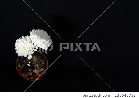 一朵白色菊花插在冷色調的球形玻璃花瓶中,漂浮在黑暗中(位於左側)。 一朵白色菊花插在冷色調的球形玻璃花瓶中,漂浮在黑暗中(位於左側)。 139546752