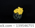 A single yellow chrysanthemum (centered) in a cool-toned, spherical glass vase floating in the darkness. A single yellow chrysanthemum (centered) in a cool-toned, spherical glass vase floating in the darkness. 139546755