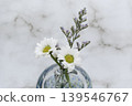 A single flower in a cool-toned glass vase, featuring a white chrysanthemum and a blue fantasia (close-up). A single flower in a cool-toned glass vase, featuring a white chrysanthemum and a blue fantasia (close-up). 139546767