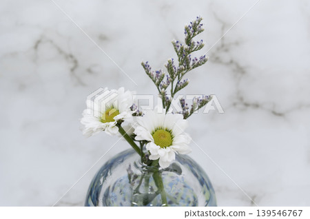 一朵花插在冷色調的玻璃花瓶裡，花色是白色菊花和藍色幻想曲（特寫）。 139546767