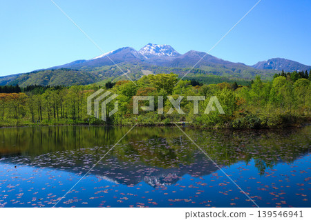 妙高山倒映在伊森池中 妙高山倒映在伊森池中 139546941