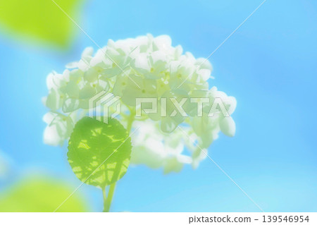 Blue sky and Annabel Blue sky and Annabel 139546954