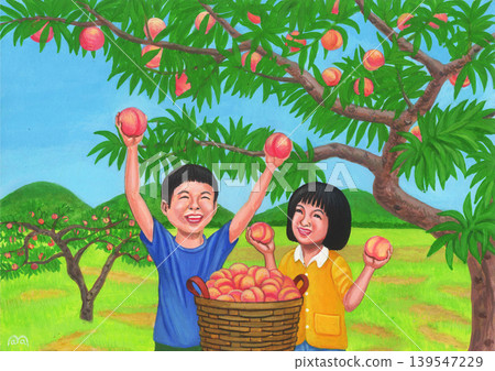 桃子採摘示意圖 139547229