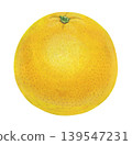 Illustration of grapefruit 139547231