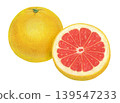 Grapefruit illustration - 3 139547233