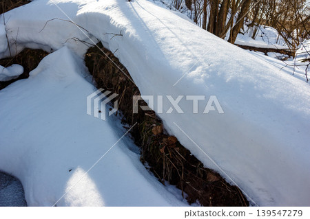 A deep snowdrift covers a winter gully, revealing a dark earthy crevice underneath. Bright sunlight illuminates the fresh powder, casting subtle shadows 139547279