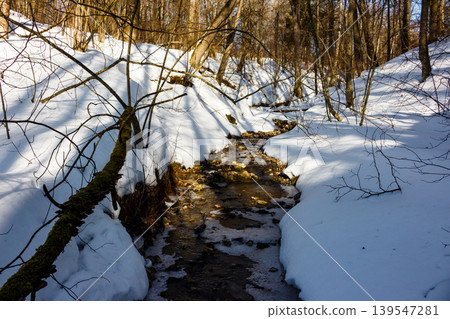 A partially frozen stream meanders through a snow-covered gully, bordered by deep white banks and sunlit bare trees, depicting early spring's thaw A partially frozen stream meanders through a snow-covered gully, bordered by deep white banks and sunlit bare trees, depicting early spring's thaw 139547281