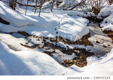 Bright winter day, a snowy creek snakes through a gully. Fresh critter tracks mark soft snow, contrasting with icy patches and flowing water Bright winter day, a snowy creek snakes through a gully. Fresh critter tracks mark soft snow, contrasting with icy patches and flowing water 139547283