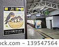 Warning sign of There is a swallow's nest at Kinomiya Station. Signs like this are common in Japanese train stations during spring. 139547564