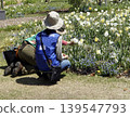 公園裡的園藝志工正在照料花壇。 139547793