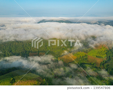 Traditional Farming Landscape in Northern Thailand Traditional Farming Landscape in Northern Thailand 139547806