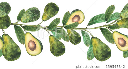 Watercolor avocado branch seamless border. Ripe whole and cut half fruit showing seed with leaves. Botanical hand drawn illustration isolated from background pattern for food packaging, cosmetic label Watercolor avocado branch seamless border. Ripe whole and cut half fruit showing seed with leaves. Botanical hand drawn illustration isolated from background pattern for food packaging, cosmetic label 139547842