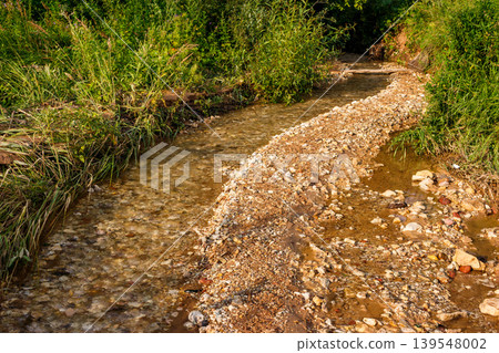 Shallow, clear brook winding through a rocky streambed, flanked by vibrant green foliage. Gentle flow over pebbles and stones, sun-dappled water surface 139548002