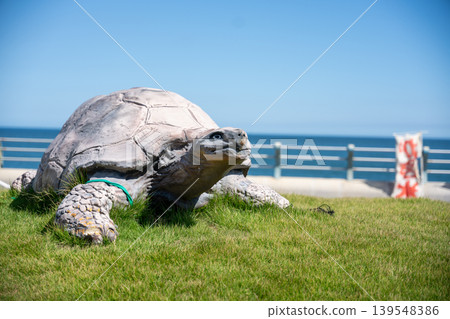 一座俯瞰大海的大海龜雕塑 一座俯瞰大海的大海龜雕塑 139548386