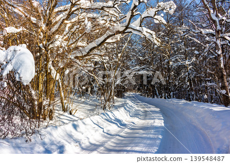 Serene snow-laden forest road bathed in crisp sunlight. Majestic trees draped in fresh powder create a magical winter wonderland scene under a clear blue sky Serene snow-laden forest road bathed in crisp sunlight. Majestic trees draped in fresh powder create a magical winter wonderland scene under a clear blue sky 139548487