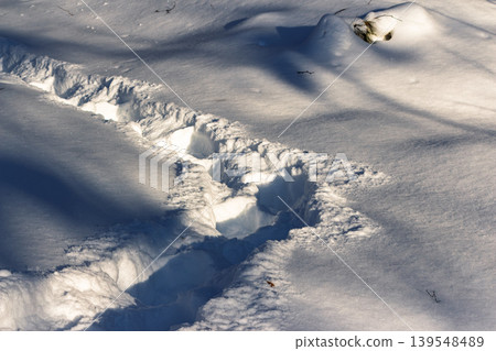 Deep tracks in sparkling winter snow, bathed in golden sunlight and stark shadows. A serene, frosty path into nature's quiet embrace Deep tracks in sparkling winter snow, bathed in golden sunlight and stark shadows. A serene, frosty path into nature's quiet embrace 139548489