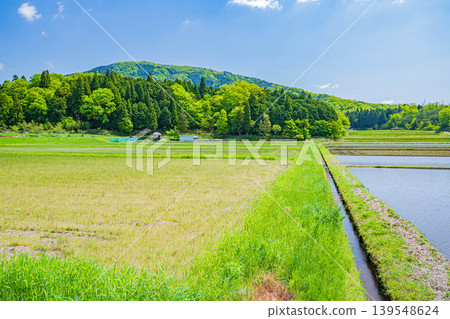 滋賀縣長濱市西夏齋町奧地區琵琶湖的田園風光 滋賀縣長濱市西夏齋町奧地區琵琶湖的田園風光 139548624