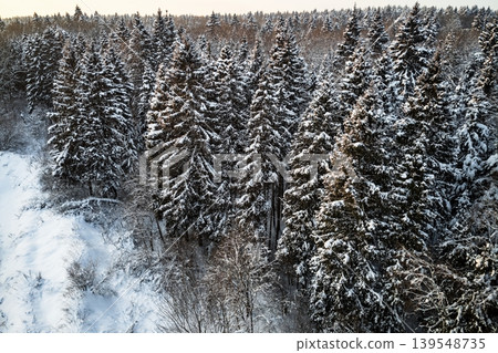 Stunning aerial vista of a vast, snow-kissed winter forest. Evergreen trees, heavily frosted, glow warmly under the gentle evening sun. Pure, serene wilderness beauty Stunning aerial vista of a vast, snow-kissed winter forest. Evergreen trees, heavily frosted, glow warmly under the gentle evening sun. Pure, serene wilderness beauty 139548735