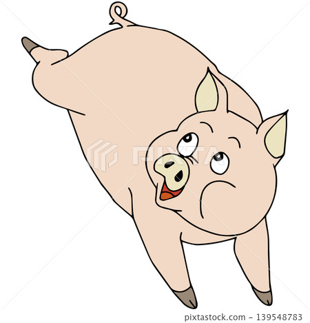 A fun animal illustration ☆ Pig 139548783