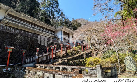 通往萬願寺（出流觀音）的道路兩旁掛滿了紅燈籠。 139548839