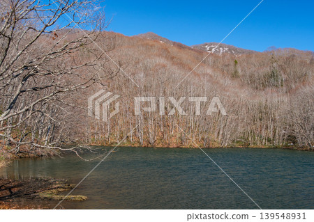 春山與沼澤 139548931