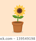 Cute Sunflower in Pot Flat Vector Illustration 139549198