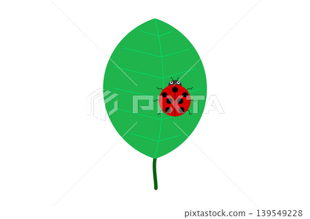 A red ladybug on a green leaf 139549228