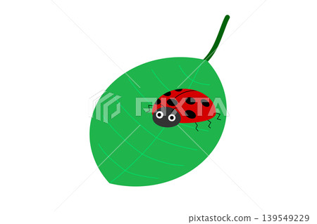 A red ladybug on a green leaf 139549229
