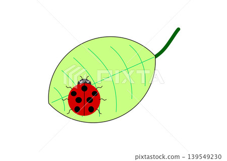 A red ladybug on a yellowish-green leaf A red ladybug on a yellowish-green leaf 139549230