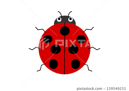 Illustration of ladybird 139549231