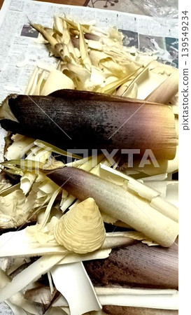 A taste of spring! Peeling bamboo shoots. A taste of spring! Peeling bamboo shoots. 139549234