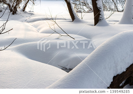 Gentle snowdrifts blanket a hefty fallen log by a frosty riverbank, creating a serene winter scene. Soft sunlight paints the pristine white landscape Gentle snowdrifts blanket a hefty fallen log by a frosty riverbank, creating a serene winter scene. Soft sunlight paints the pristine white landscape 139549285