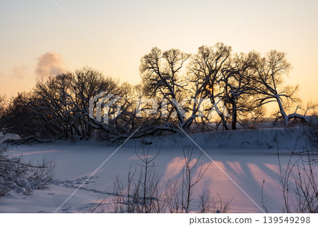 Serene winter landscape with snow-laden trees silhouetted against a golden sunset over a frozen river. Tranquil frosty scene with long shadows Serene winter landscape with snow-laden trees silhouetted against a golden sunset over a frozen river. Tranquil frosty scene with long shadows 139549298