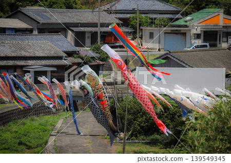 鯉魚擬餌遊過鄉村小鎮 鯉魚擬餌遊過鄉村小鎮 139549345