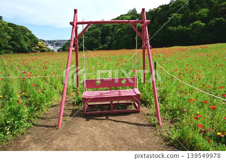 罌粟花和鞦韆 139549978