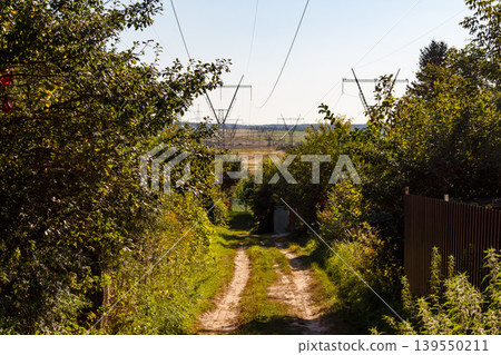 A winding dirt path meanders through verdant foliage under a clear sky, leading towards distant power lines stretching across open fields. Serene rural journey A winding dirt path meanders through verdant foliage under a clear sky, leading towards distant power lines stretching across open fields. Serene rural journey 139550211