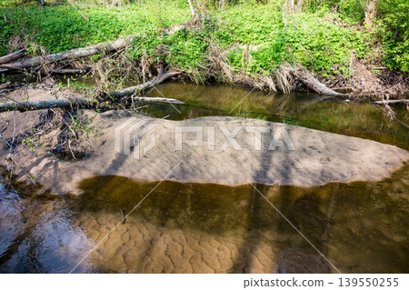A serene woodland stream flows past a sandy bank, surrounded by lush green foliage and fallen logs. Sunlight dapples the calm waters, creating a peaceful nature scene A serene woodland stream flows past a sandy bank, surrounded by lush green foliage and fallen logs. Sunlight dapples the calm waters, creating a peaceful nature scene 139550255
