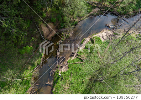 Aerial view of a serene forest creek snaking through vibrant spring greenery. Fallen logs dot the shallow water, hinting at nature's untouched wildness and peaceful flow Aerial view of a serene forest creek snaking through vibrant spring greenery. Fallen logs dot the shallow water, hinting at nature's untouched wildness and peaceful flow 139550277