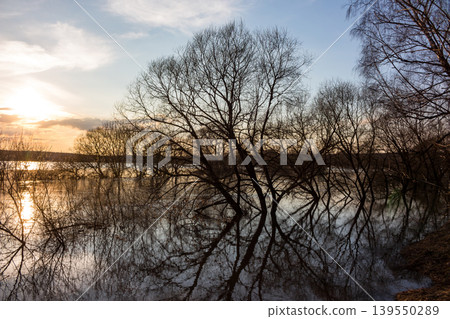 Bare trees stand tall in tranquil floodwaters, their reflections mirroring the warm glow of an early spring sunset. A serene high water scene at dusk 139550289