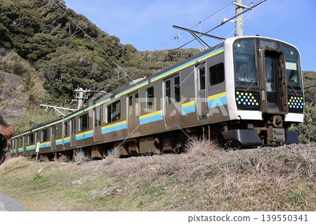 JR東日本 E131系 0系(房總地區) JR東日本 E131系 0系(房總地區) 139550341
