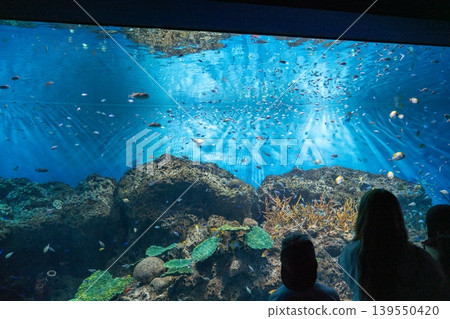 A large aquarium tank bathed in sunlight A large aquarium tank bathed in sunlight 139550420