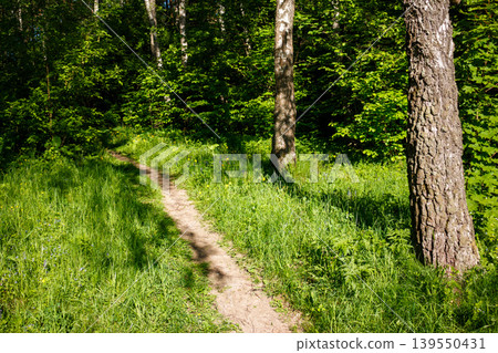 Winding dirt trail in a sun-drenched wood, bordered by vibrant green grass and robust tree trunks. A tranquil, serene pathway Winding dirt trail in a sun-drenched wood, bordered by vibrant green grass and robust tree trunks. A tranquil, serene pathway 139550431