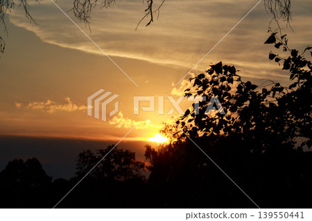 Radiant sunset paints the sky fiery orange, peeking through dark tree foliage. Golden hour's magic, tranquil twilight vibes Radiant sunset paints the sky fiery orange, peeking through dark tree foliage. Golden hour's magic, tranquil twilight vibes 139550441