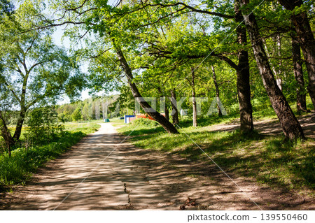Sunny forest path, dappled with tree shadows, winding through lush greenery. A serene, rustic trail in nature's embrace on a bright day Sunny forest path, dappled with tree shadows, winding through lush greenery. A serene, rustic trail in nature's embrace on a bright day 139550460